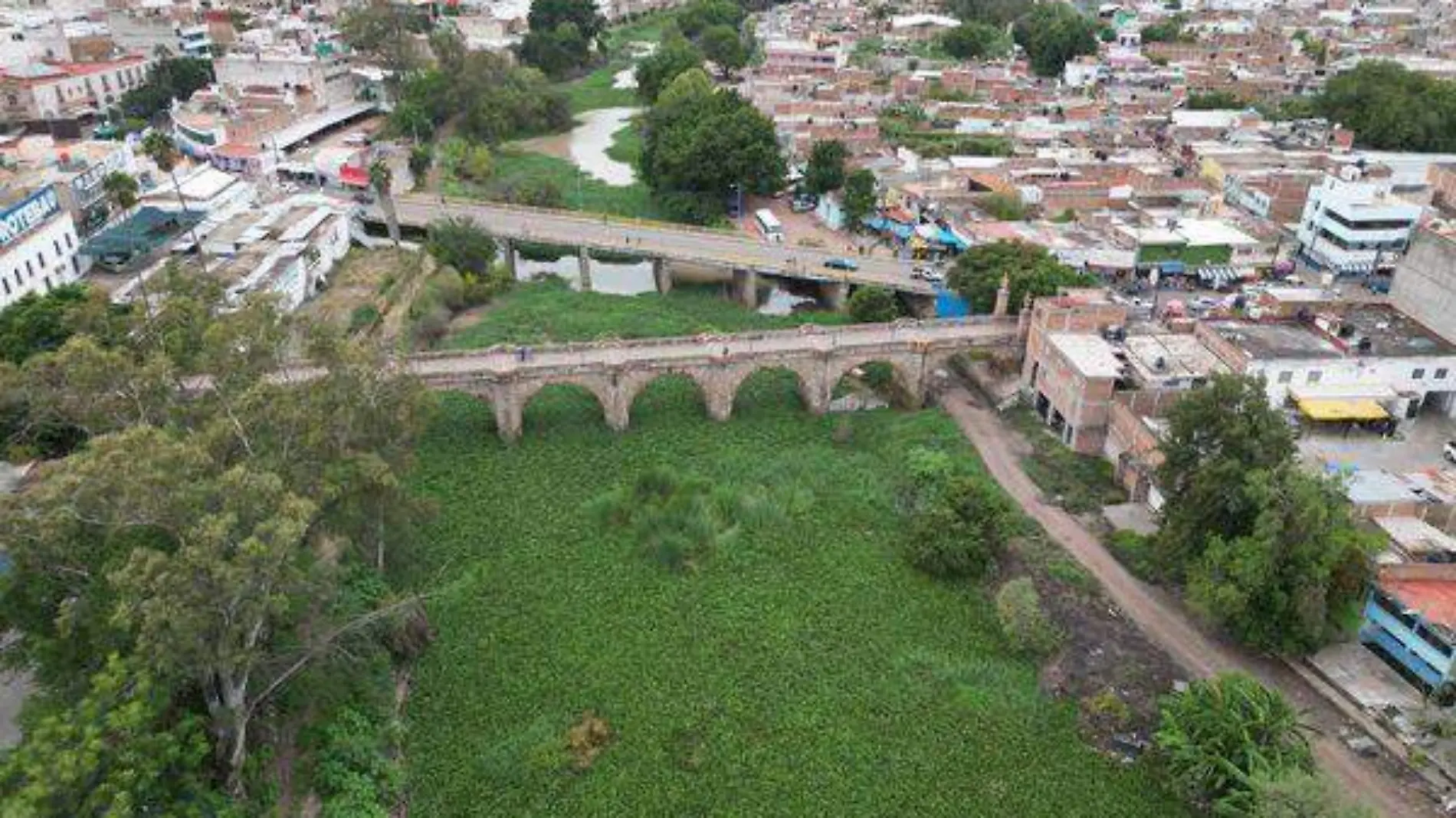 Lirio en Río Lerma